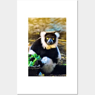 Golden Lemur Posters and Art